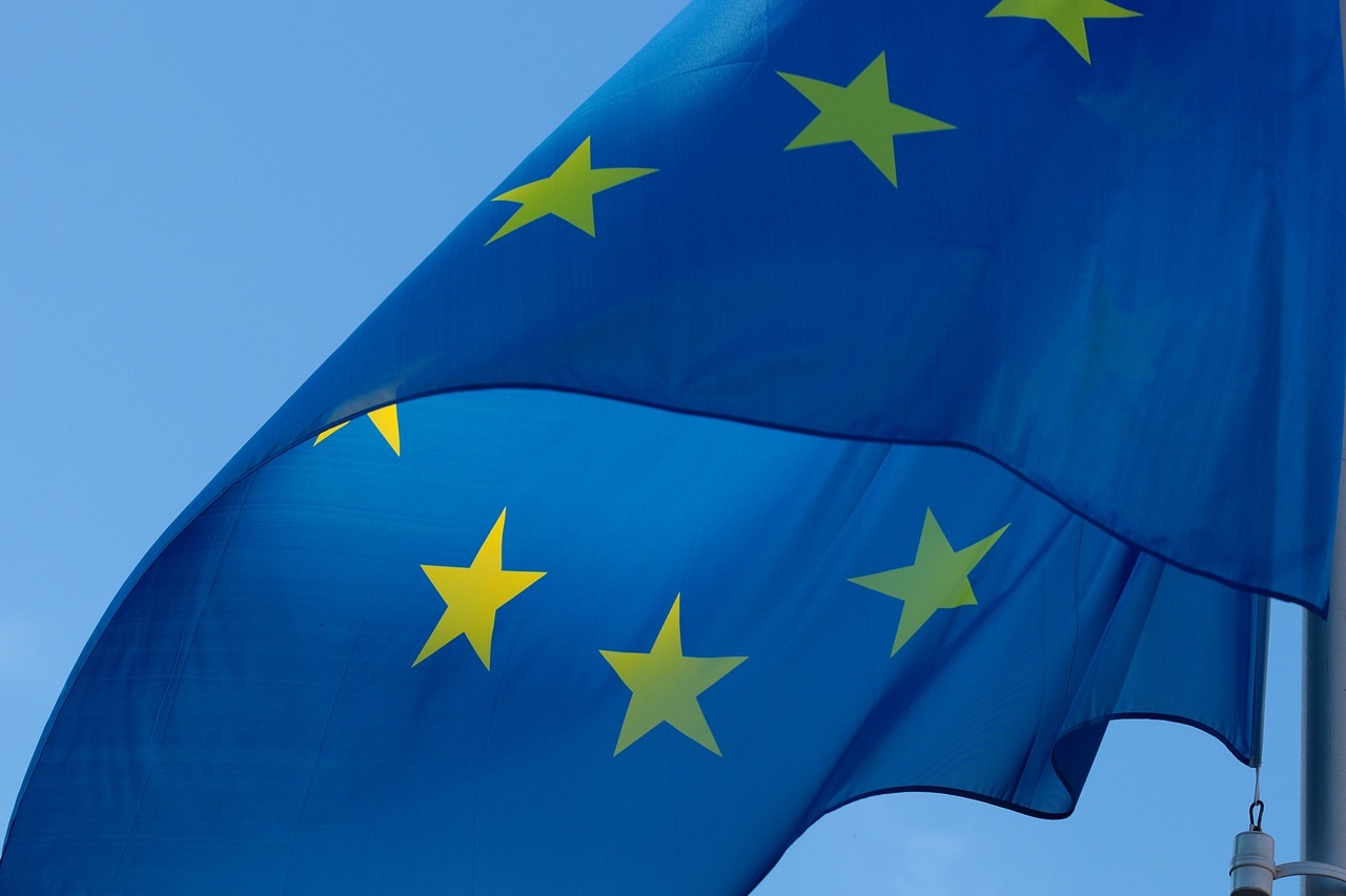 bandera bandera